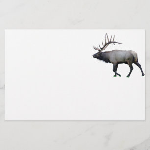 Willow Wapiti elk Stationery