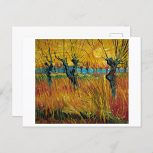 Willows at Sunset   Van Gogh   Postcard