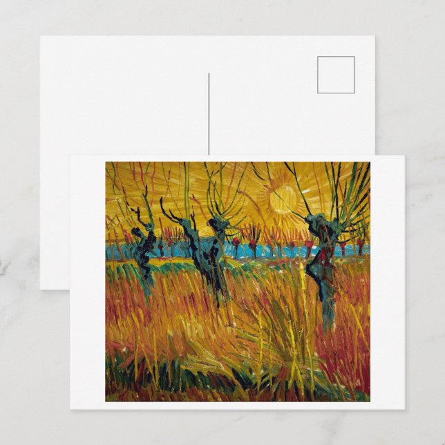 Willows at Sunset | Van Gogh | Postcard (Front/Back)