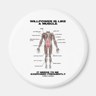 Willpower Is Like A Muscle Needs To Be Exercised Magnet