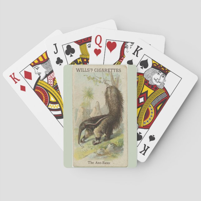 Wills's Collectable Cigarette Cards Ant-Eater (Back)