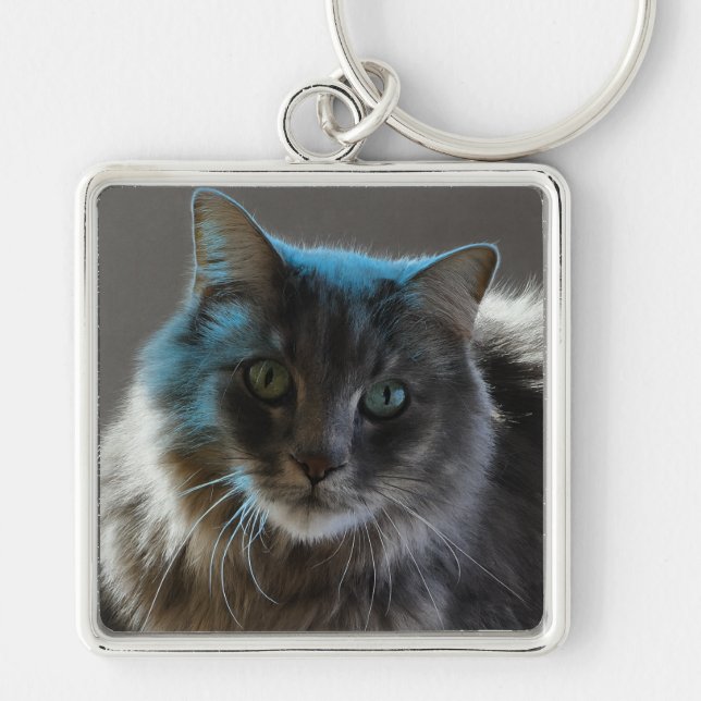 Willy Boy Majestic Long-Haired Grey Cat Key Ring (Front)