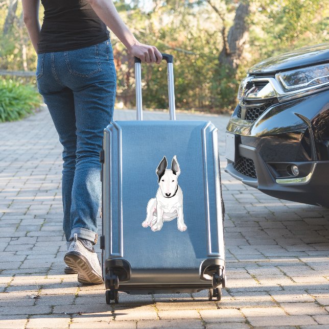 "WILLY" Bull Terrier (Suitcase Insitu)