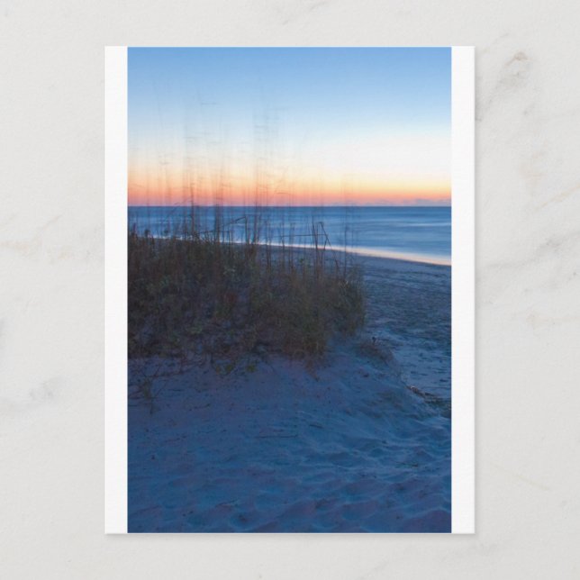 Wilmington NC Postcard (Front)