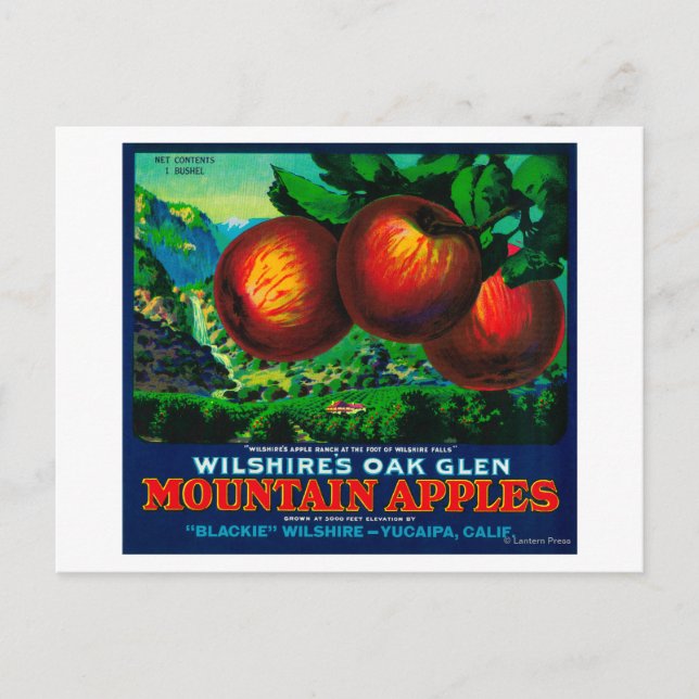 Wilshire's Oak Glen Apple Crate Label Postcard (Front)
