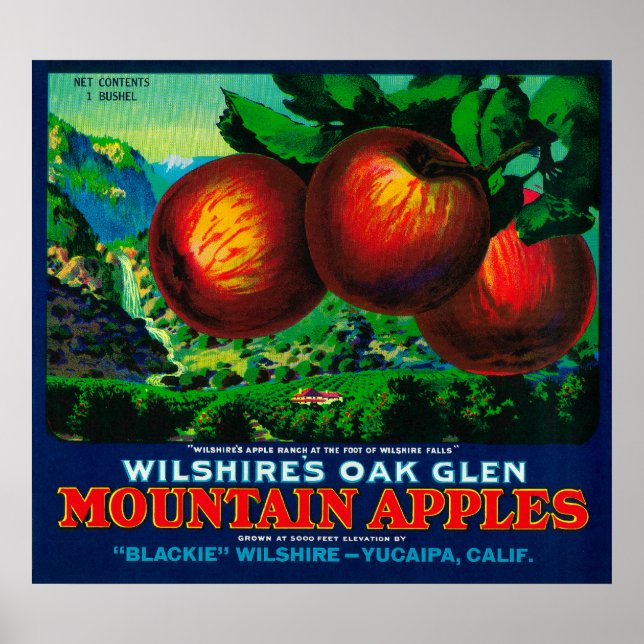 Wilshire's Oak Glen Apple Crate Label Poster (Front)