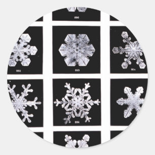 Wilson Bentley Snowflakes Classic Round Sticker