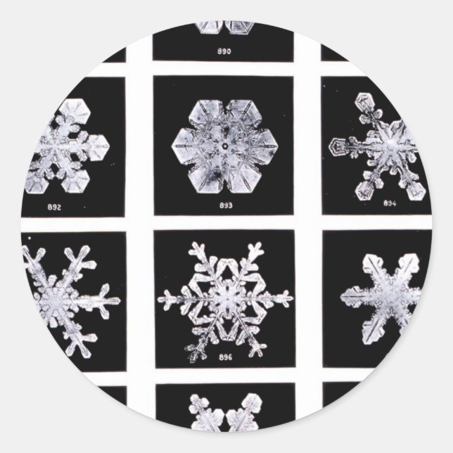 Wilson Bentley Snowflakes Classic Round Sticker (Front)