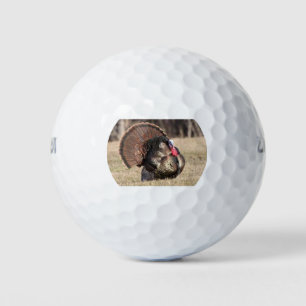 Wilson Golf Balls with a Tom Turkey