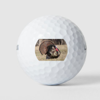 Wilson Golf Balls with a Tom Turkey