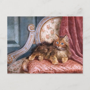 Wilson Hepple: Brown Kitten on an Armchair Postcard