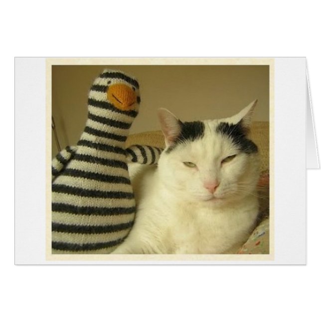 WILSoN & Pengy #1 (Front Horizontal)