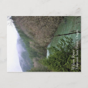 Wilson River, OR Postcard