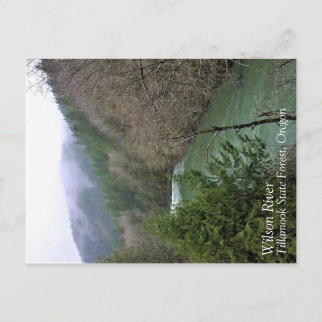 Wilson River, OR Postcard (Front)