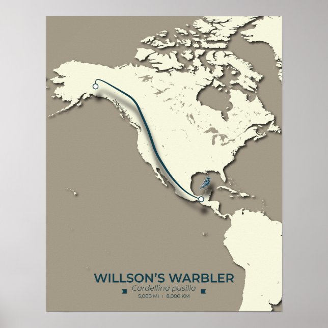 Wilson’s Warbler Migration Map – Minimalist Poster (Front)