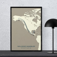 Wilson’s Warbler Migration Map – Minimalist