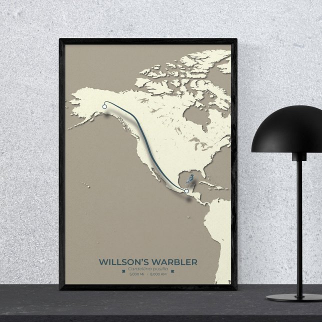 Wilson’s Warbler Migration Map – Minimalist Poster (Creator Uploaded)
