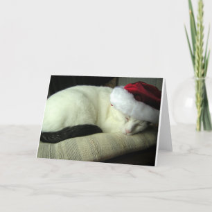 WiLSoN SOLSTiCE Greeting Card