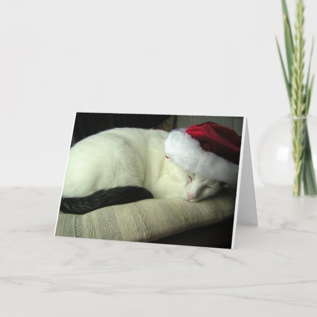 WiLSoN SOLSTiCE Greeting Card (Front)