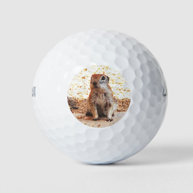 Wilson Ultra "Peanut" Ground Squirrel Golf Balls (Front)