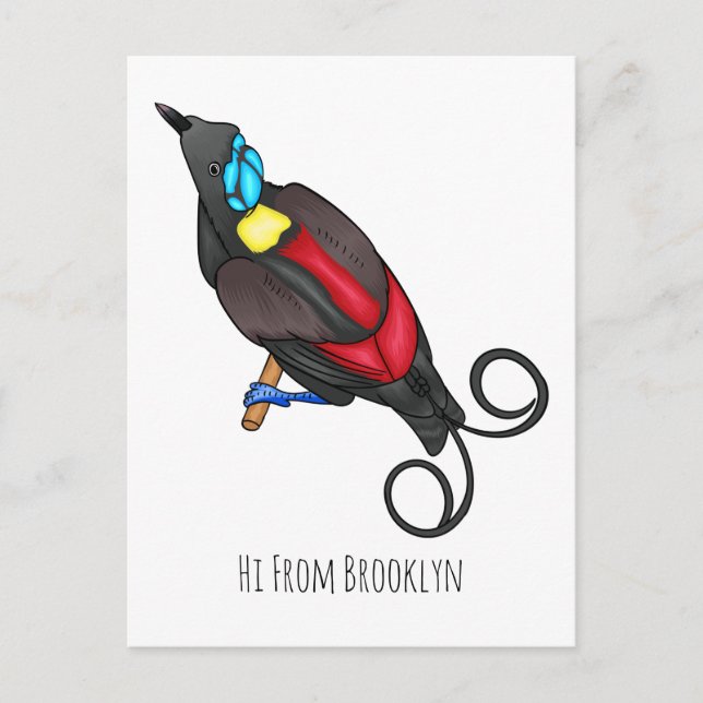 Wilson's bird-of-paradise bird cartoon  postcard (Front)