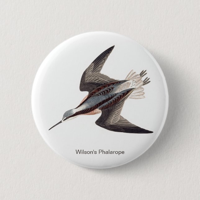 Wilson's Phalarope by John James Audubon,  6 Cm Round Badge (Front)