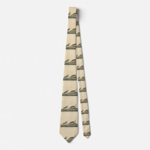 Wilson's Plover from Audubon's Birds of America Tie