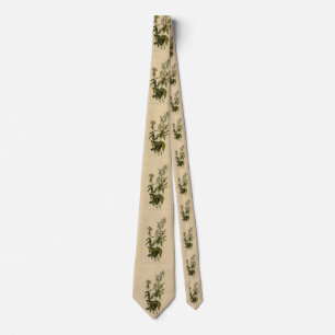 Wilson's Warbler from Audubon's Birds of America Tie