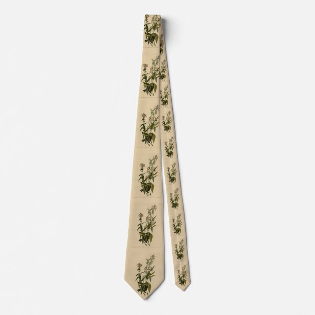 Wilson's Warbler from Audubon's Birds of America Tie (Front)