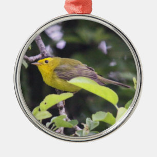 Wilson's Warbler Metal Tree Decoration
