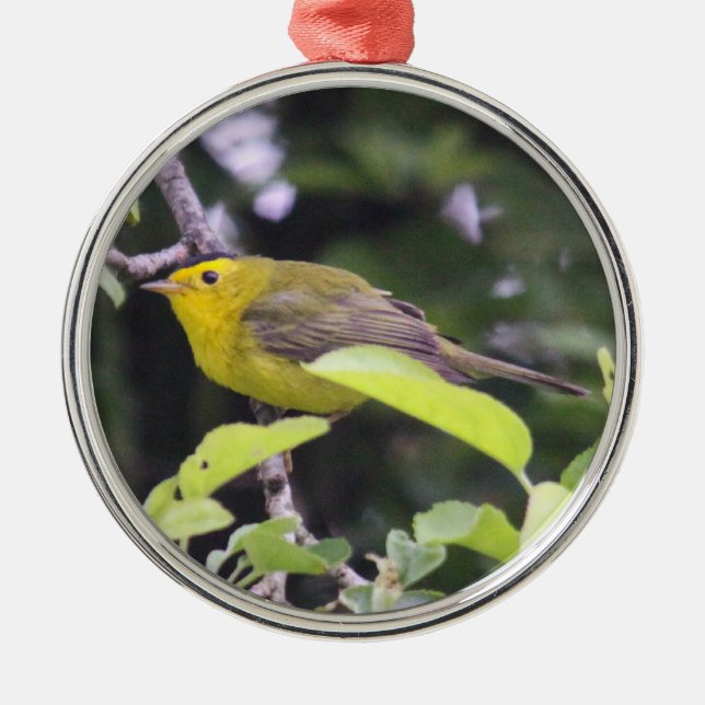 Wilson's Warbler Metal Tree Decoration (Front)