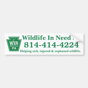 WIN LOGO + Phone Number Bumper Sticker