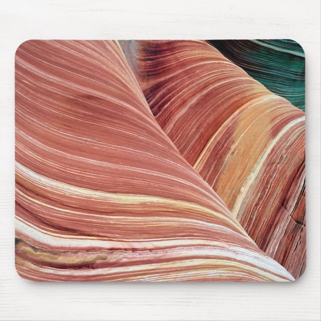 Wind and water eroded Navajo  sandstone in Mouse Mat (Front)