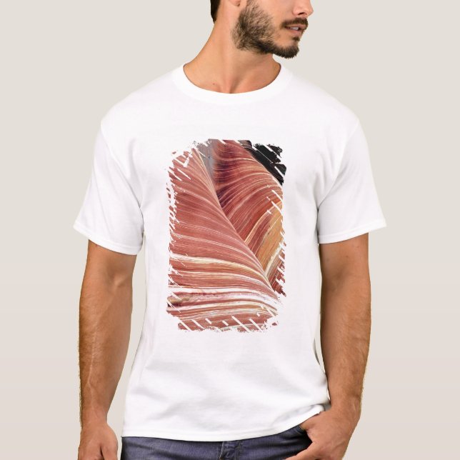 Wind and water eroded Navajo  sandstone in T-Shirt (Front)
