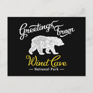 Wind Cave National Park Bear Postcard