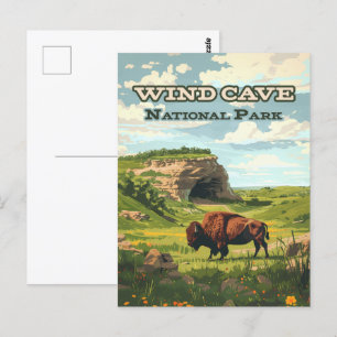 Wind Cave National Park Bison South Dakota Postcard