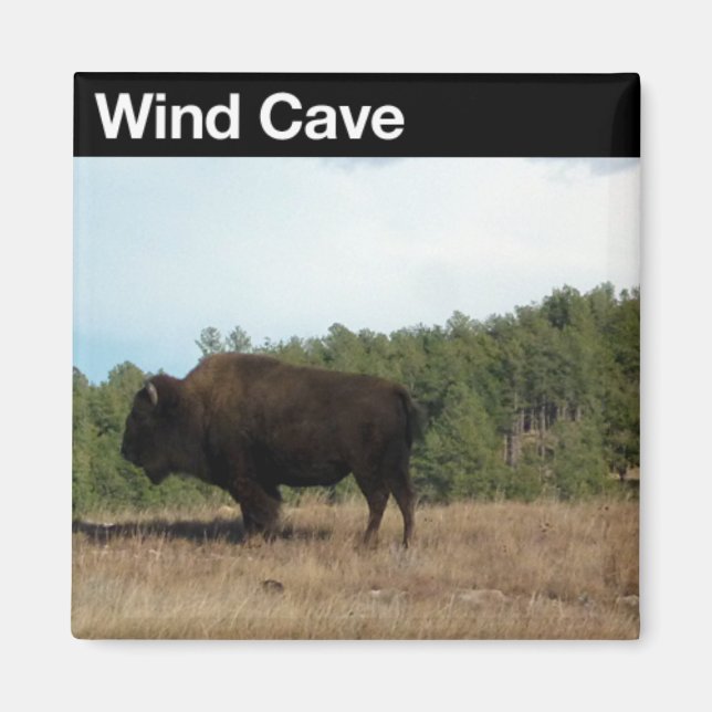 Wind Cave NP Magnet (Front)