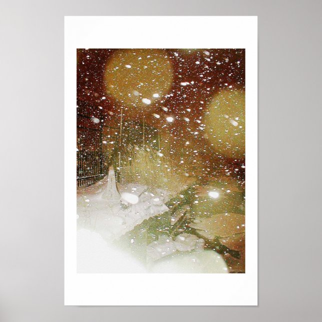 Wind in the Chilly Willies Poster (Front)