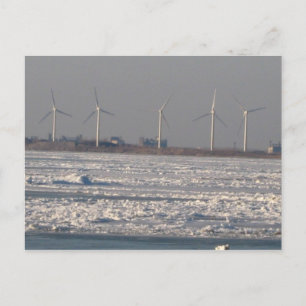 wind mills of Buffalo, NY Postcard