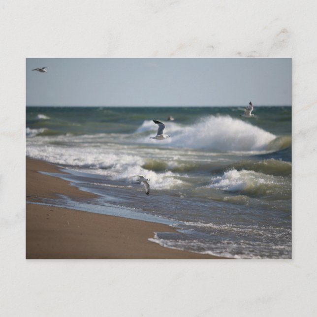 Wind Postcard (Front)