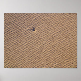 Wind Ripples in Sand VI - Colour Saturated Poster