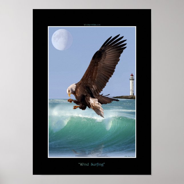 WIND SURFING Bald Eagle  Art Poster (Front)