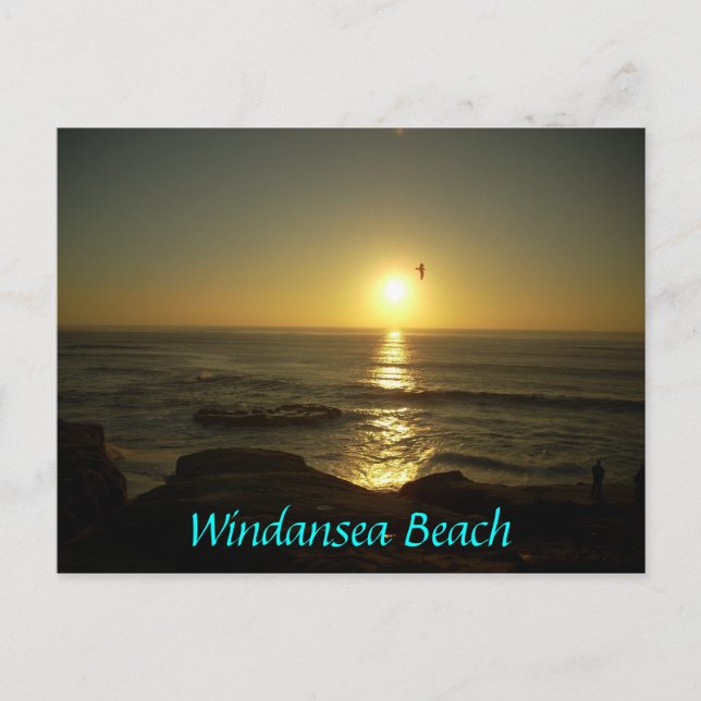 Windansea Beach Postcard (Front)