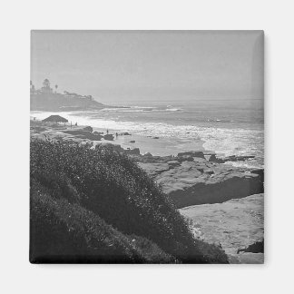 Windansea to LLounge  magnet