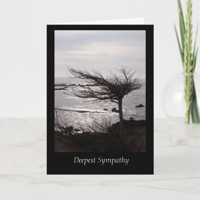 Windblown Tree  Deepest Sympathy Card (Front)