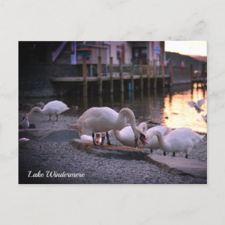 Windermere, the Lake District England Holiday Postcard