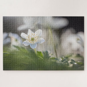 Windflower Nature Photo Jigsaw Puzzle
