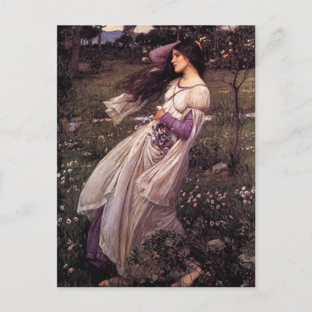Windflowers-by John William Waterhouse, 1902 Postcard (Front)