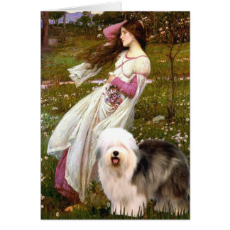 Windflowers - Old English 12