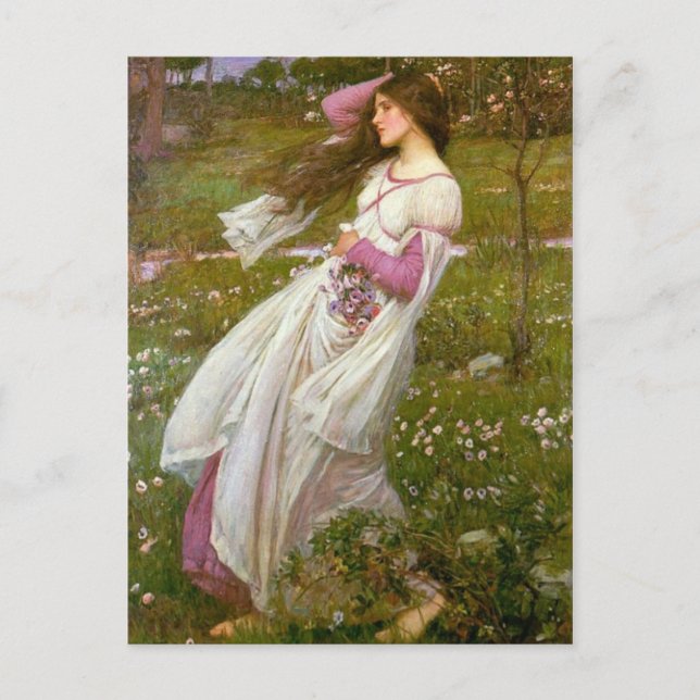 Windflowers Postcard (Front)